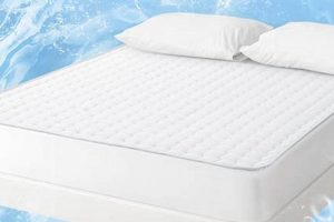 Top-Rated Easeland Mattress Pad: Comfort & Protection Organic & Natural Mattress Buyer’s Guide: Non-Toxic Sleep Solutions Top-Rated Easeland Mattress Pad: Comfort & Protection | Organic & Natural Mattress Buyer’s Guide: Non-Toxic Sleep Solutions
