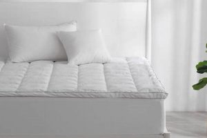 Buy Best Sertapedic Mattress Pad: Comfort & Protection Organic & Natural Mattress Buyer’s Guide: Non-Toxic Sleep Solutions Buy Best Sertapedic Mattress Pad: Comfort & Protection | Organic & Natural Mattress Buyer’s Guide: Non-Toxic Sleep Solutions