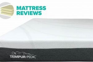 Best Mattress Pad for Tempurpedic: Comfort & Protection! Organic & Natural Mattress Buyer’s Guide: Non-Toxic Sleep Solutions Best Mattress Pad for Tempurpedic: Comfort & Protection! | Organic & Natural Mattress Buyer’s Guide: Non-Toxic Sleep Solutions