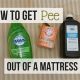 Get Urine Out! How to Clean Your Mattress Fast | Organic & Natural Mattress Buyer’s Guide: Non-Toxic Sleep Solutions