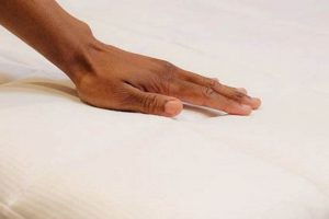 Slumber Cloud Performance Mattress Pad: Enhanced Sleep Comfort Organic & Natural Mattress Buyer’s Guide: Non-Toxic Sleep Solutions Slumber Cloud Performance Mattress Pad: Enhanced Sleep Comfort | Organic & Natural Mattress Buyer’s Guide: Non-Toxic Sleep Solutions