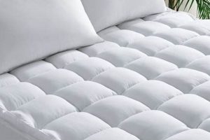 Enhance Sleep: Serta Pillow Top Mattress Pad Comfort Today! Organic & Natural Mattress Buyer’s Guide: Non-Toxic Sleep Solutions Enhance Sleep: Serta Pillow Top Mattress Pad Comfort Today! | Organic & Natural Mattress Buyer’s Guide: Non-Toxic Sleep Solutions