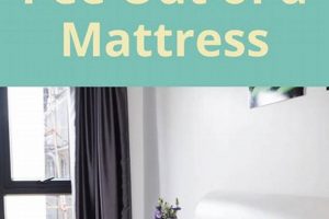 Get Urine Out! Quick Wet Mattress Cleaning Guide | Organic & Natural Mattress Buyer’s Guide: Non-Toxic Sleep Solutions