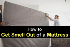 Get Odors Out! How to Get Smell Out of Mattress - Tips & Tricks | Organic & Natural Mattress Buyer’s Guide: Non-Toxic Sleep Solutions