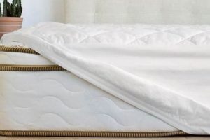 Top-Rated Best Down Mattress Pads: Sleep Soundly! Organic & Natural Mattress Buyer’s Guide: Non-Toxic Sleep Solutions Top-Rated Best Down Mattress Pads: Sleep Soundly! | Organic & Natural Mattress Buyer’s Guide: Non-Toxic Sleep Solutions
