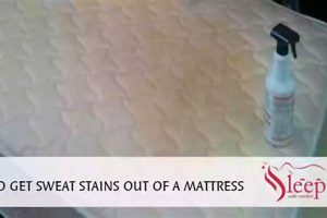 Get Sweat Stains Out: Clean Your Mattress Now! | Organic & Natural Mattress Buyer’s Guide: Non-Toxic Sleep Solutions
