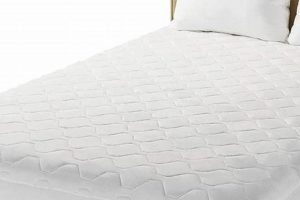 Top RV Queen Mattress Pad [Comfort Boost] | Organic & Natural Mattress Buyer’s Guide: Non-Toxic Sleep Solutions