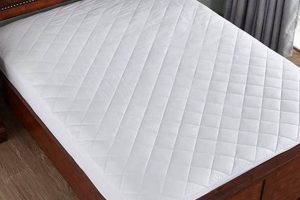 Best Mattress Pad Twin: Comfort & Protect | Organic & Natural Mattress Buyer’s Guide: Non-Toxic Sleep Solutions