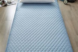 Best Futon Mattress Pads For Comfy Nights + Tips! | Organic & Natural Mattress Buyer’s Guide: Non-Toxic Sleep Solutions