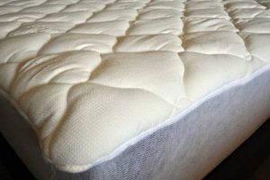 Mattress Pad Guide: Do I Really Need One? Organic & Natural Mattress Buyer’s Guide: Non-Toxic Sleep Solutions Mattress Pad Guide: Do I Really Need One? | Organic & Natural Mattress Buyer’s Guide: Non-Toxic Sleep Solutions