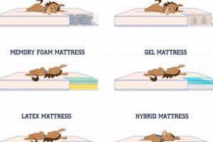 Is It Time? How Often Should You Get A New Mattress Guide | Organic & Natural Mattress Buyer’s Guide: Non-Toxic Sleep Solutions