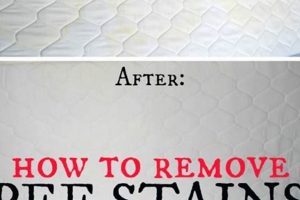 Get Rid of: How to Get Urine Smell Out of Mattress - Tips! | Organic & Natural Mattress Buyer’s Guide: Non-Toxic Sleep Solutions