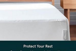 Best Mattress Pad for Tuft &amp; Needle: Comfort &amp; Protection | Organic & Natural Mattress Buyer’s Guide: Non-Toxic Sleep Solutions