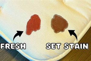 Quick & Easy: How to Get Blood Out of Mattress [Tips] | Organic & Natural Mattress Buyer’s Guide: Non-Toxic Sleep Solutions