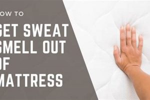 Easy How to Get Sweat Smell Out of Mattress + Tips | Organic & Natural Mattress Buyer’s Guide: Non-Toxic Sleep Solutions