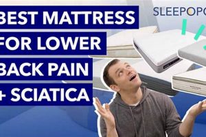 Best Mattress Pad for Lower Back Pain Relief [Guide] | Organic & Natural Mattress Buyer’s Guide: Non-Toxic Sleep Solutions