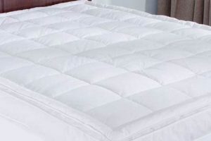 Best Down Feather Mattress Pad: Soft Comfort Organic & Natural Mattress Buyer’s Guide: Non-Toxic Sleep Solutions Best Down Feather Mattress Pad: Soft Comfort | Organic & Natural Mattress Buyer’s Guide: Non-Toxic Sleep Solutions