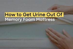 Get Urine Out! Clean Memory Foam Mattress (Easy) | Organic & Natural Mattress Buyer’s Guide: Non-Toxic Sleep Solutions
