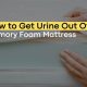 Get Urine Out! Clean Memory Foam Mattress (Easy) | Organic & Natural Mattress Buyer’s Guide: Non-Toxic Sleep Solutions