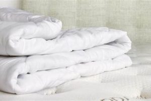Saatva Mattress Pad: Enhance & Protect Your Sleep | Organic & Natural Mattress Buyer’s Guide: Non-Toxic Sleep Solutions