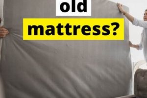 Easy How To Get Rid of Old Mattress + Disposal Tips | Organic & Natural Mattress Buyer’s Guide: Non-Toxic Sleep Solutions