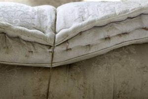 Mattress Pad Lifespan: How Long Do Mattress Pads Last? Guide Organic & Natural Mattress Buyer’s Guide: Non-Toxic Sleep Solutions Mattress Pad Lifespan: How Long Do Mattress Pads Last? Guide | Organic & Natural Mattress Buyer’s Guide: Non-Toxic Sleep Solutions