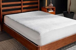 Enhance Sleep: Tempur-Pedic Mattress Pad Queen Size Organic & Natural Mattress Buyer’s Guide: Non-Toxic Sleep Solutions Enhance Sleep: Tempur-Pedic Mattress Pad Queen Size | Organic & Natural Mattress Buyer’s Guide: Non-Toxic Sleep Solutions