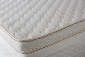 Shop Queen Latex Mattress Pad Covers: Comfort & Support | Organic & Natural Mattress Buyer’s Guide: Non-Toxic Sleep Solutions