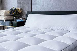 Top-Rated Best Plush Mattress Pad: [Your Brand] Adds Comfort | Organic & Natural Mattress Buyer’s Guide: Non-Toxic Sleep Solutions