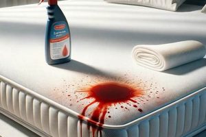 Quick Guide: How to Get Blood Out of Mattress - Stain Free! | Organic & Natural Mattress Buyer’s Guide: Non-Toxic Sleep Solutions