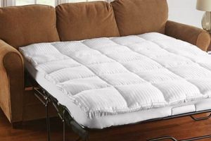 Upgrade Your Queen Sofa Bed: Mattress Pad Comfort! | Organic & Natural Mattress Buyer’s Guide: Non-Toxic Sleep Solutions