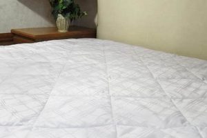 Best RV Mattress Pad Options: Comfort On The Road! | Organic & Natural Mattress Buyer’s Guide: Non-Toxic Sleep Solutions