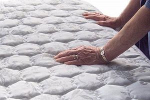Enhance Sleep: Magnetic Mattress Pads Benefits & Guide Organic & Natural Mattress Buyer’s Guide: Non-Toxic Sleep Solutions Enhance Sleep: Magnetic Mattress Pads Benefits & Guide | Organic & Natural Mattress Buyer’s Guide: Non-Toxic Sleep Solutions