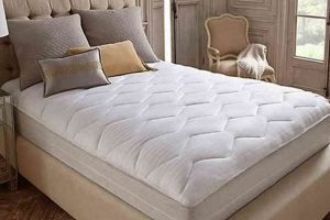 Upgrade Your Sleep: Stearns & Foster Mattress Pad Perfection | Organic & Natural Mattress Buyer’s Guide: Non-Toxic Sleep Solutions
