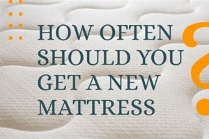 Time to Get a New Mattress? Lifespan & Signs Organic & Natural Mattress Buyer’s Guide: Non-Toxic Sleep Solutions Time to Get a New Mattress? Lifespan & Signs | Organic & Natural Mattress Buyer’s Guide: Non-Toxic Sleep Solutions