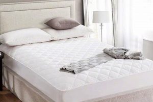 Luxury Silk Mattress Pad: Sleep Better Tonight! | Organic & Natural Mattress Buyer’s Guide: Non-Toxic Sleep Solutions