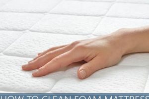 Easy Way: How to Clean a Foam Mattress (Fast!) Organic & Natural Mattress Buyer’s Guide: Non-Toxic Sleep Solutions Easy Way: How to Clean a Foam Mattress (Fast!) | Organic & Natural Mattress Buyer’s Guide: Non-Toxic Sleep Solutions