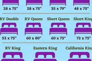 Best Camper Twin Mattress Size [Guide] For RVs! | Organic & Natural Mattress Buyer’s Guide: Non-Toxic Sleep Solutions