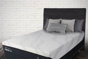 Best Twin Mattress Soft Options: A Buyer's Guide Organic & Natural Mattress Buyer’s Guide: Non-Toxic Sleep Solutions Best Twin Mattress Soft Options: A Buyer's Guide | Organic & Natural Mattress Buyer’s Guide: Non-Toxic Sleep Solutions