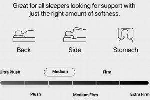 Best Twin Beautyrest Mattress [Year]: Sleep Soundly! | Organic & Natural Mattress Buyer’s Guide: Non-Toxic Sleep Solutions