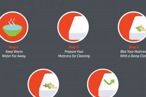 Blood Stain SOS: How to Get Rid of Blood From Mattress, Fast! Organic & Natural Mattress Buyer’s Guide: Non-Toxic Sleep Solutions Blood Stain SOS: How to Get Rid of Blood From Mattress, Fast! | Organic & Natural Mattress Buyer’s Guide: Non-Toxic Sleep Solutions