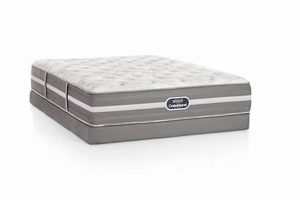 Best Simmons Twin Mattress: Sleep Soundly & Save! Organic & Natural Mattress Buyer’s Guide: Non-Toxic Sleep Solutions Best Simmons Twin Mattress: Sleep Soundly & Save! | Organic & Natural Mattress Buyer’s Guide: Non-Toxic Sleep Solutions