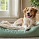 Quick Guide: How to Get Dog Wee Out of a Mattress - Tips! | Organic & Natural Mattress Buyer’s Guide: Non-Toxic Sleep Solutions