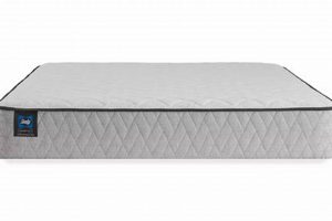 Bakersfield Twin Mattress Cost: Your Best Sleep Starts Here Organic & Natural Mattress Buyer’s Guide: Non-Toxic Sleep Solutions Bakersfield Twin Mattress Cost: Your Best Sleep Starts Here | Organic & Natural Mattress Buyer’s Guide: Non-Toxic Sleep Solutions