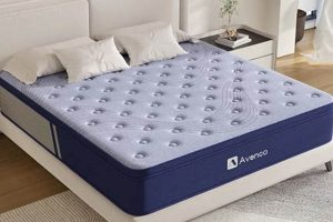 Best Hybrid Twin Mattress: Comfort & Support Twin Size Organic & Natural Mattress Buyer’s Guide: Non-Toxic Sleep Solutions Best Hybrid Twin Mattress: Comfort & Support Twin Size | Organic & Natural Mattress Buyer’s Guide: Non-Toxic Sleep Solutions