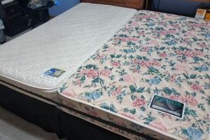 Twin Dilemma: Do Two Twins Make a King Mattress? Guide Organic & Natural Mattress Buyer’s Guide: Non-Toxic Sleep Solutions Twin Dilemma: Do Two Twins Make a King Mattress? Guide | Organic & Natural Mattress Buyer’s Guide: Non-Toxic Sleep Solutions