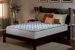 Find Your Dream Sam's Club Twin Mattress: Deals & Comfort Organic & Natural Mattress Buyer’s Guide: Non-Toxic Sleep Solutions Find Your Dream Sam's Club Twin Mattress: Deals & Comfort | Organic & Natural Mattress Buyer’s Guide: Non-Toxic Sleep Solutions