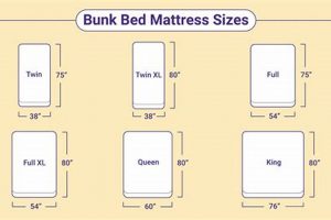 Best Twin XL Mattress: Extra Long Comfort & Benefits Organic & Natural Mattress Buyer’s Guide: Non-Toxic Sleep Solutions Best Twin XL Mattress: Extra Long Comfort & Benefits | Organic & Natural Mattress Buyer’s Guide: Non-Toxic Sleep Solutions