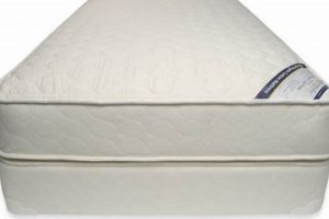 Naturepedic Twin Mattress: Organic Comfort for Little Ones Organic & Natural Mattress Buyer’s Guide: Non-Toxic Sleep Solutions Naturepedic Twin Mattress: Organic Comfort for Little Ones | Organic & Natural Mattress Buyer’s Guide: Non-Toxic Sleep Solutions