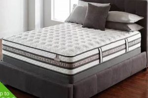 Best Sam's Club Twin Mattress [Deals!] for Comfort | Organic & Natural Mattress Buyer’s Guide: Non-Toxic Sleep Solutions